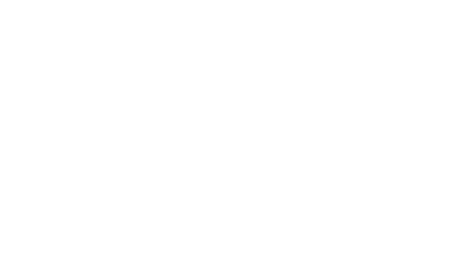 Page Industries